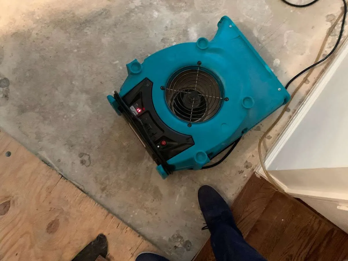 Air mover drying subfloor during Commercial Water Damage Restoration in Penitas